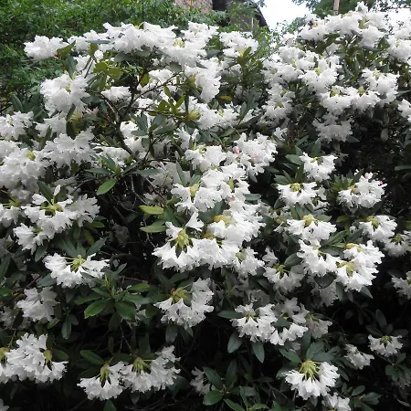 Casa vacanze Dom Dawniej